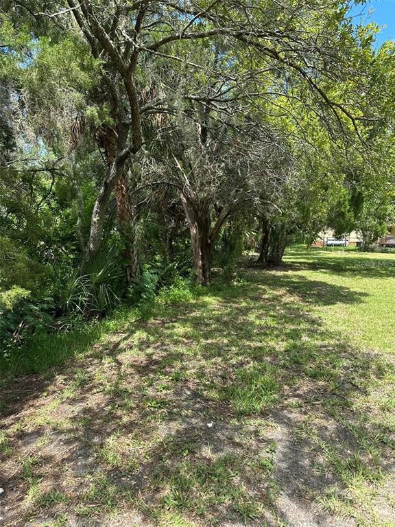 A grassy yard features a line of mature trees and dense vegetation along the edge — 14569 and 0 CORAL DRIVE, HUDSON, FL