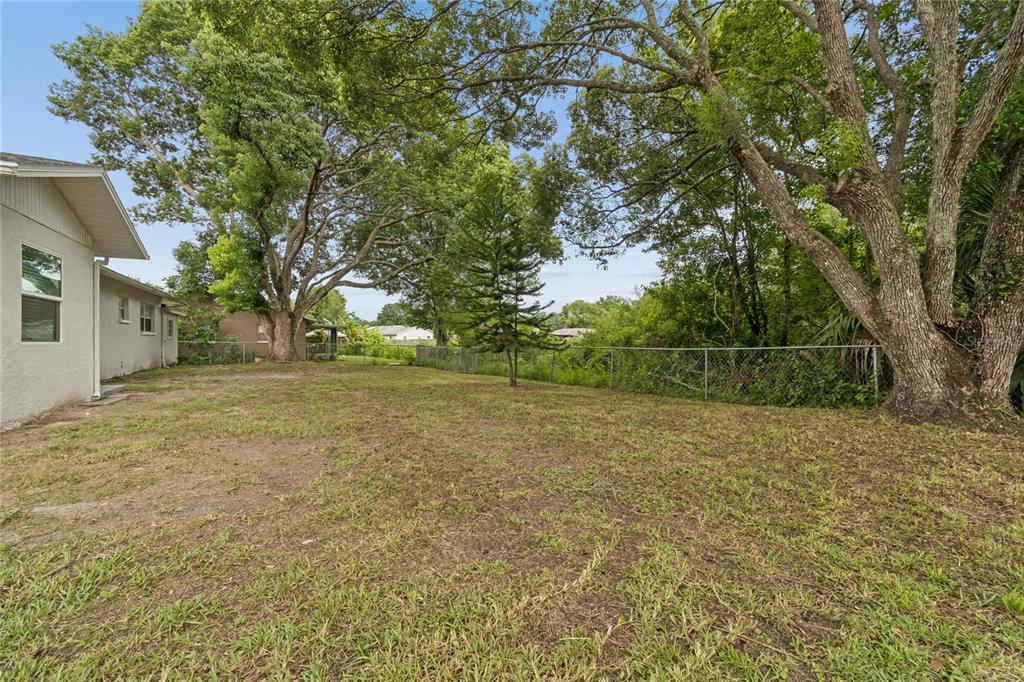 A grassy backyard features mature trees, a chain-link fence, and the side of a house — 7949 KNIGHT DRIVE, NEW PORT RICHEY, FL