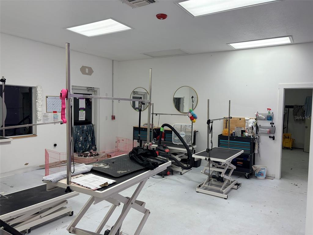 A pet grooming room features multiple hydraulic grooming tables, metal cages, and white walls — 718 60TH STREET COURT E, BRADENTON, FL