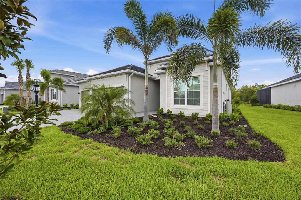 A single-story house with a gray exterior, palm trees, and a landscaped front yard — 19047 SCALLOP LOOP, LAKEWOOD RANCH, FL