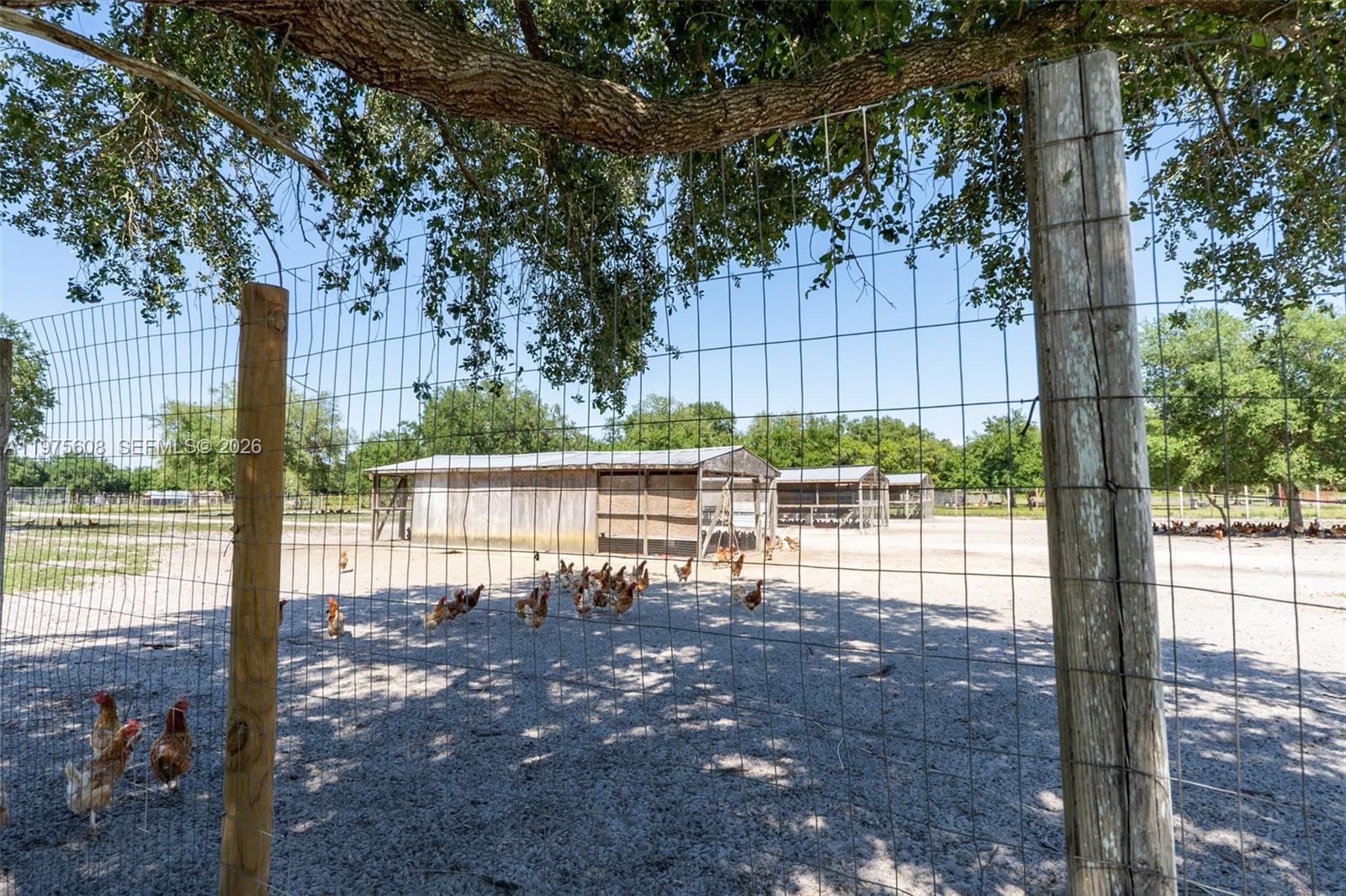 A wire fence encloses a sandy chicken yard with several wooden coops under trees — 21810 NW 270TH ST, Okeechobee FL 34972, OKEECHOBEE, FL