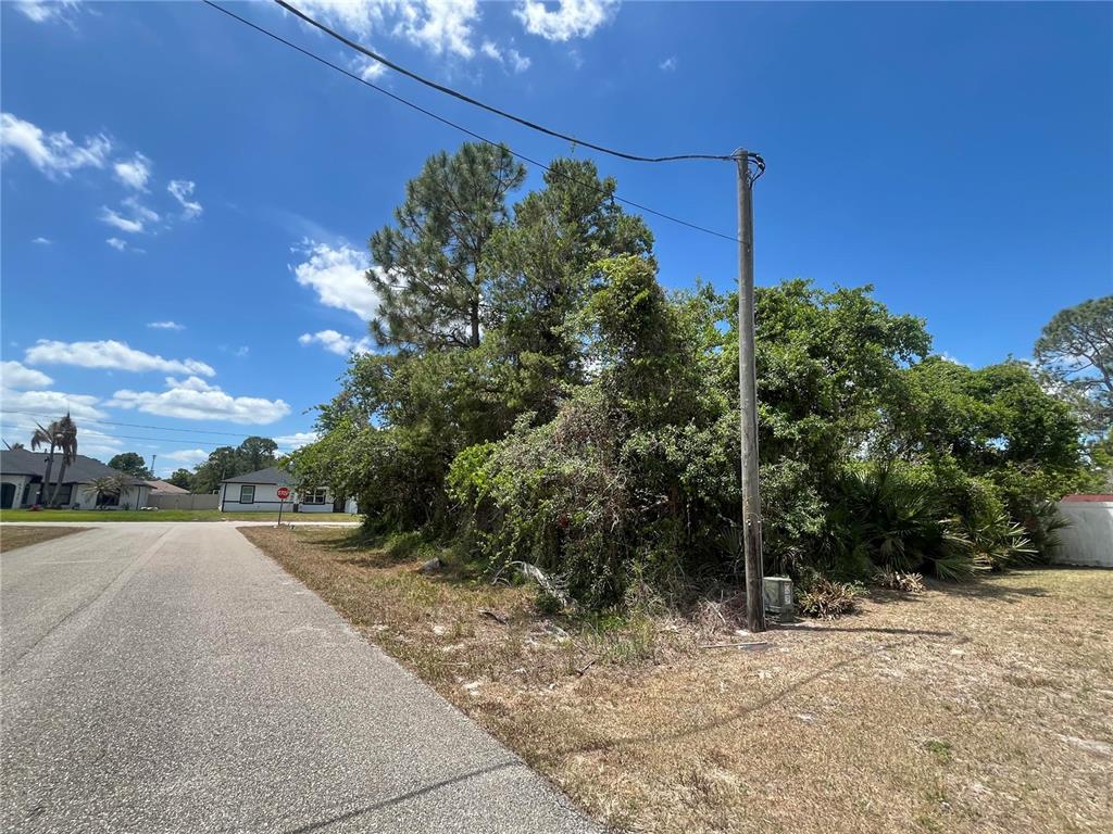 A paved road leads toward a vacant, tree-covered lot with a utility pole — 901 REPLICA AVENUE, SEBRING, FL