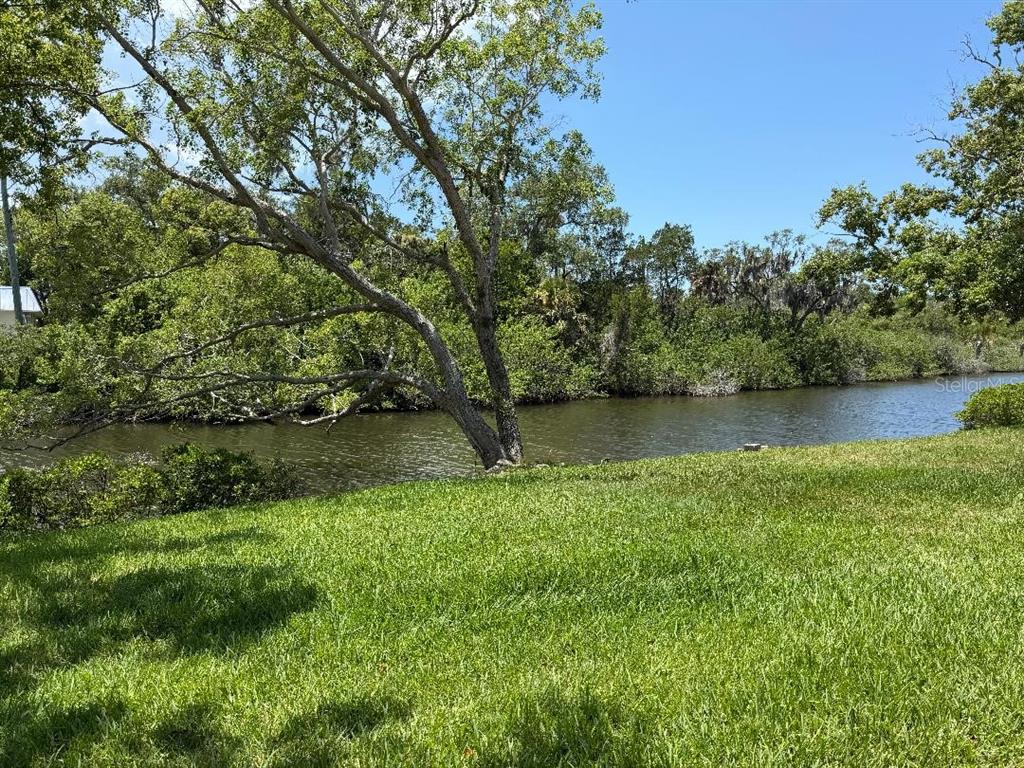 A grassy lawn slopes down toward a narrow body of water lined with trees — 4142 HAMPTON DRIVE UNIT 4142, NEW PORT RICHEY, FL