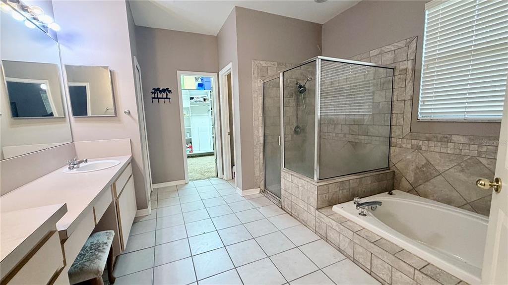 A bathroom features a vanity, a tiled walk-in shower, and a separate soaking tub — 3806 TRIPLE JUMP STREET, VALRICO, FL