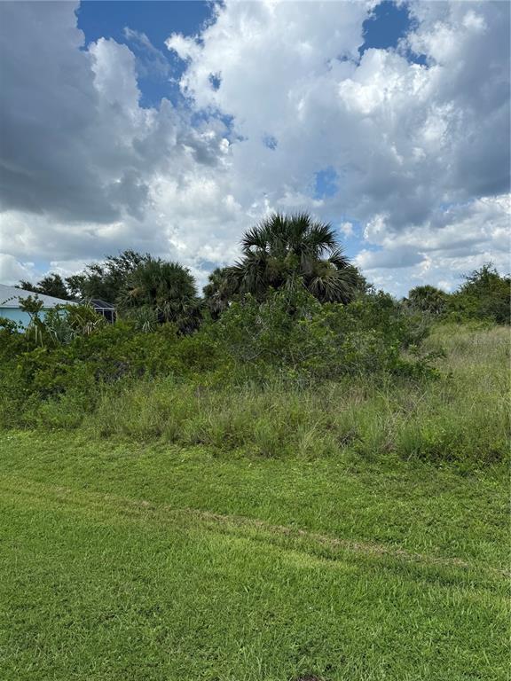 A grassy lot with dense shrubs and palm trees under a cloudy blue sky — 14194 and 14202 BARNWOOD LANE, PORT CHARLOTTE, FL