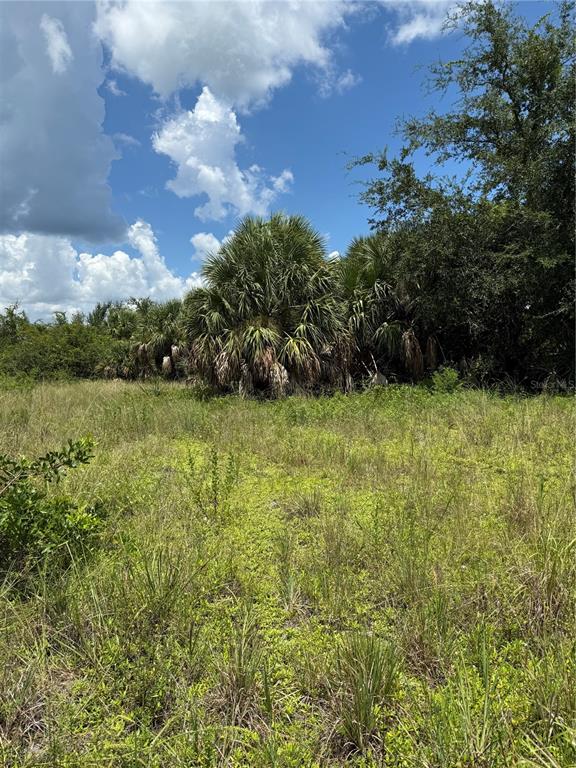 A grassy field with scattered palm trees and dense vegetation under a blue sky — 14194 and 14202 BARNWOOD LANE, PORT CHARLOTTE, FL