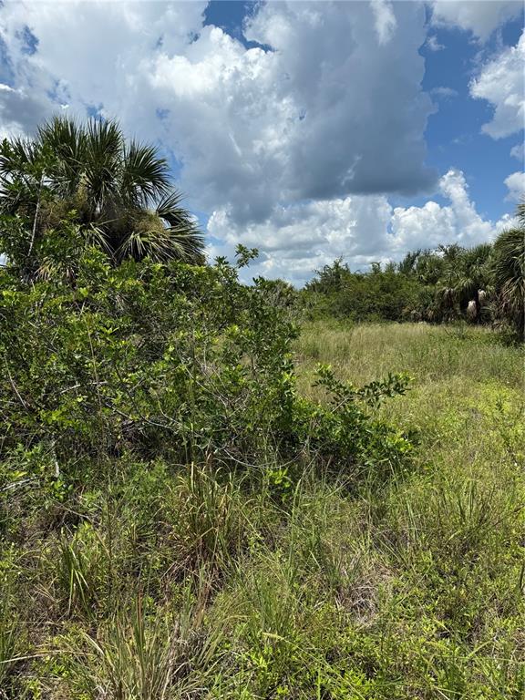 A view of a grassy, undeveloped lot with scattered shrubs and palm trees under a sky — 14194 and 14202 BARNWOOD LANE, PORT CHARLOTTE, FL