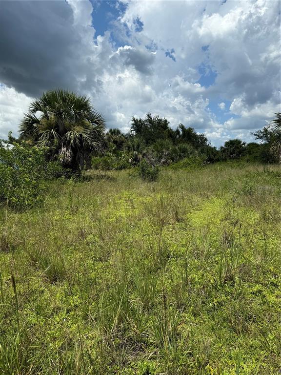 A grassy, undeveloped lot features a large palm tree and dense vegetation under a cloudy sky — 14194 and 14202 BARNWOOD LANE, PORT CHARLOTTE, FL