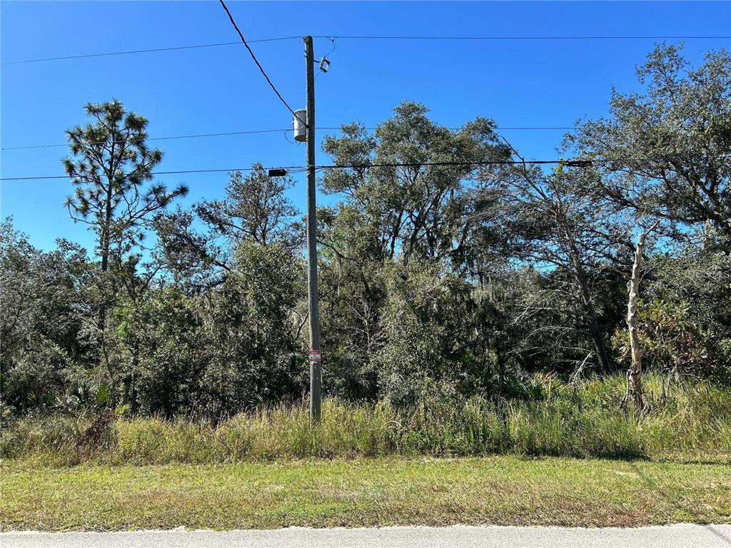 WOODSTORK WAY
