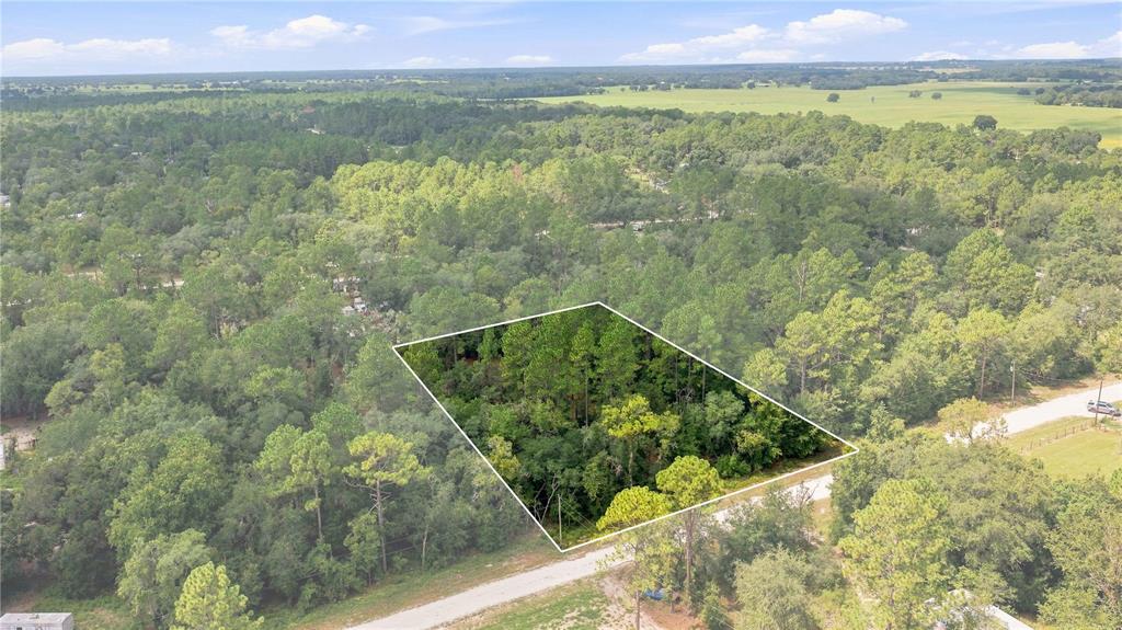 An aerial view shows a rectangular, wooded plot of land bordered by a dirt road — 21350 SE 66TH STREET, MORRISTON, FL