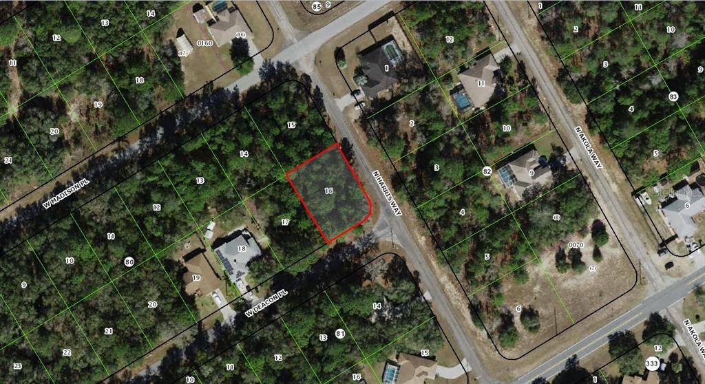 This is an aerial map showing a vacant, wooded residential lot outlined in red — 721 W DEACON PLACE, CITRUS SPRINGS, FL