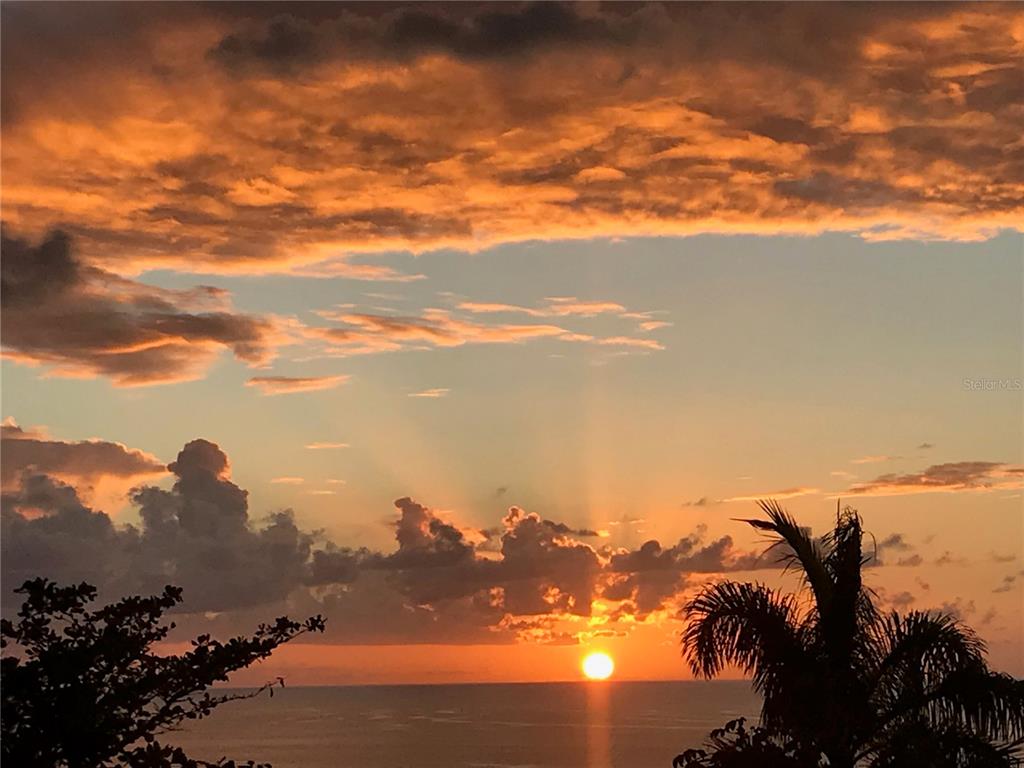 A vibrant sunset over the ocean with silhouetted palm trees and clouds in the sky — 413 INT CAMINO MARTILLO BO PUNTAS, RINCON, PR