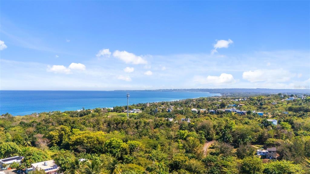 An aerial view shows a coastal landscape with lush vegetation, scattered houses, and the ocean — 413 INT CAMINO MARTILLO BO PUNTAS, RINCON, PR