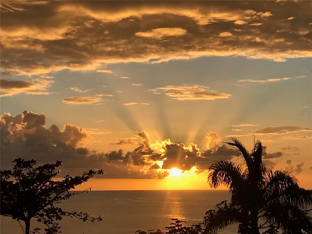 A vibrant sunset over the ocean with silhouetted palm trees and clouds in the sky — 413 INT CAMINO MARTILLO BO PUNTAS, RINCON, PR