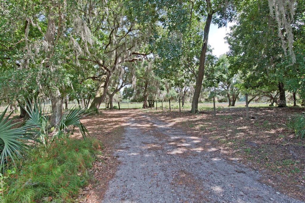 A dirt driveway leads through a wooded area toward a fenced pasture — 14704 OLD HIGHWAY 50, CLERMONT, FL