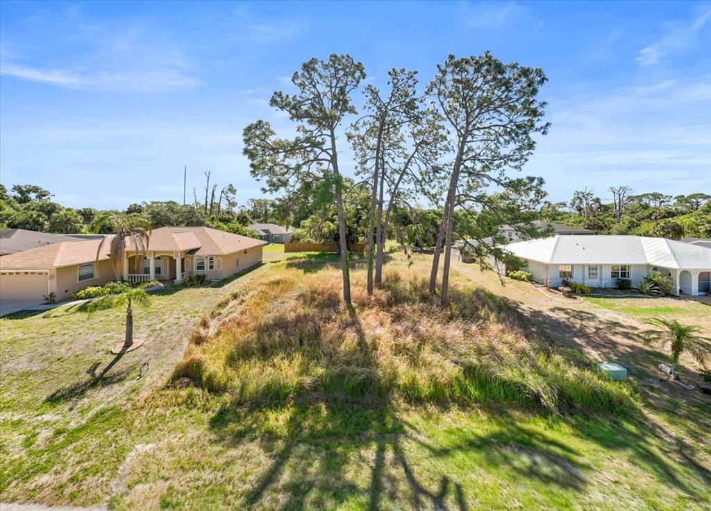 An elevated, grassy vacant lot sits between two suburban houses with several tall pine trees — SABRINA TERRACE, NORTH PORT, FL