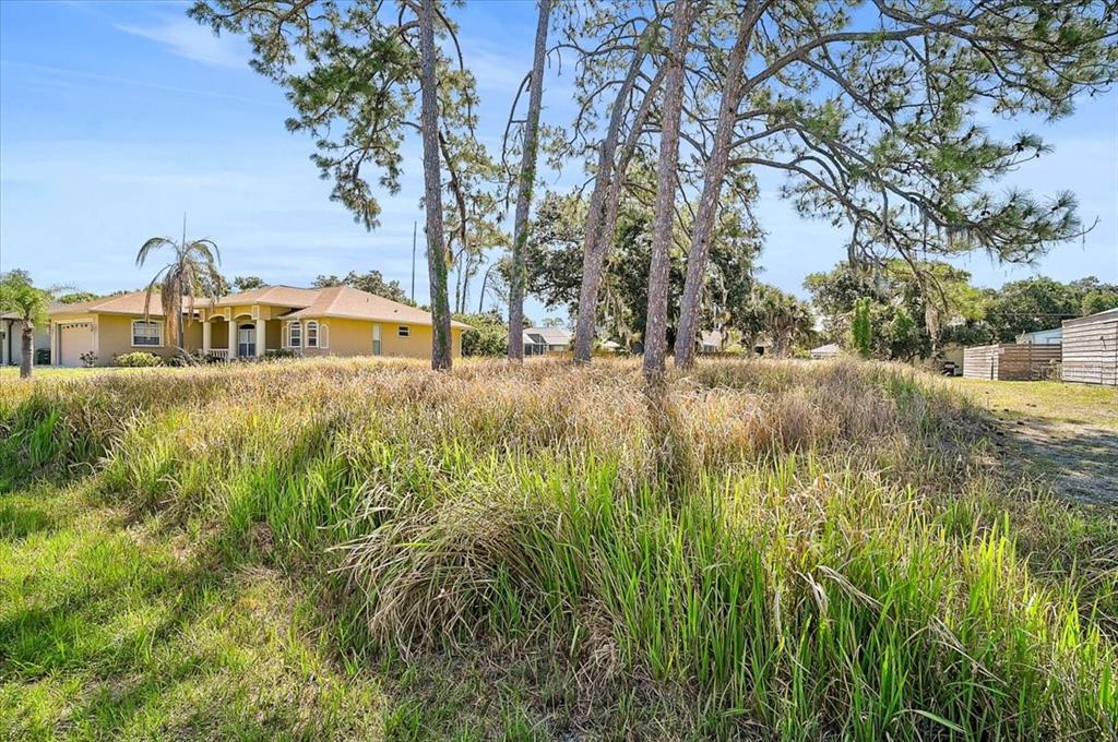 A vacant, grassy lot features several tall pine trees in front of a suburban house — SABRINA TERRACE, NORTH PORT, FL