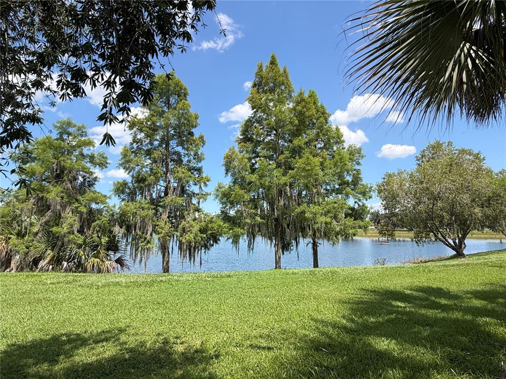 A grassy lawn overlooks a lake surrounded by cypress trees under a blue sky — 2316 PALM TREE DRIVE, KISSIMMEE, FL