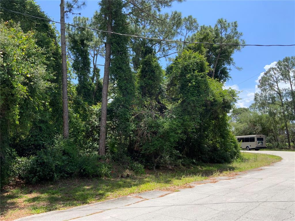 A wooded, undeveloped lot sits beside a paved road with a bus parked in the distance — 2690 KINGSDALE DRIVE, DELTONA, FL
