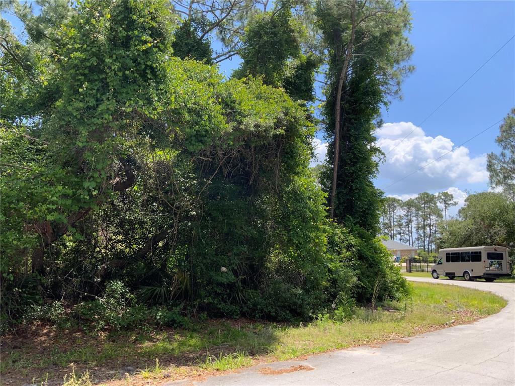 A dense, overgrown wooded lot sits beside a paved road with a bus parked nearby — 2690 KINGSDALE DRIVE, DELTONA, FL