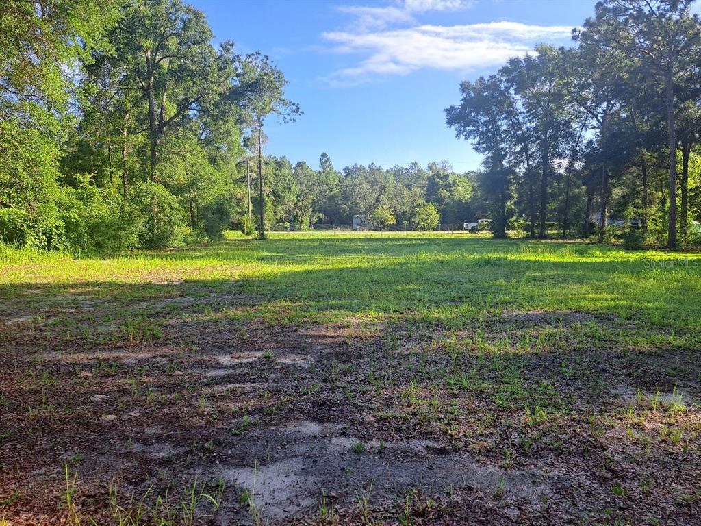 A grassy, partially cleared vacant lot is surrounded by dense trees under a blue sky — 00 SW 55TH STREET, OCALA, FL
