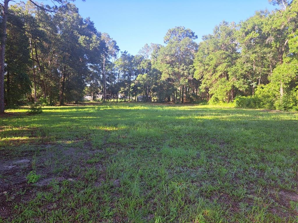 A large, grassy, open lot is surrounded by a dense forest of mature trees — 00 SW 55TH STREET, OCALA, FL
