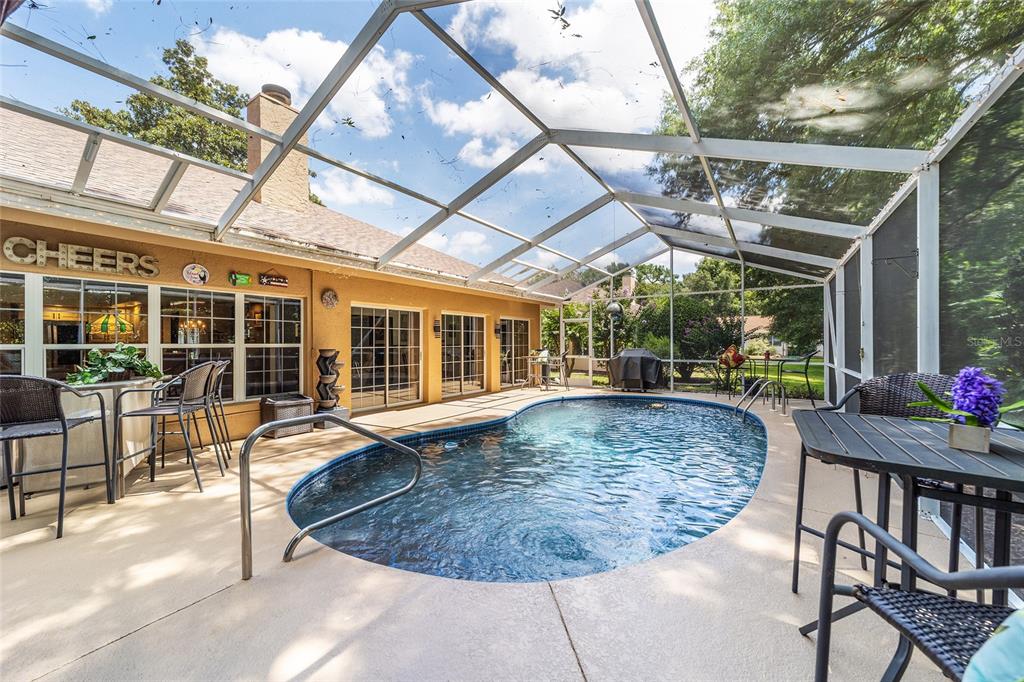 A screened-in patio features a kidney-shaped swimming pool and outdoor furniture — 11465 SW 82ND COURT ROAD, OCALA, FL
