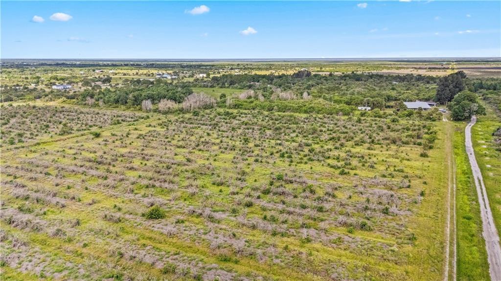 An aerial view of a large, grassy, undeveloped plot of land with scattered trees — FELLSMERE, FL