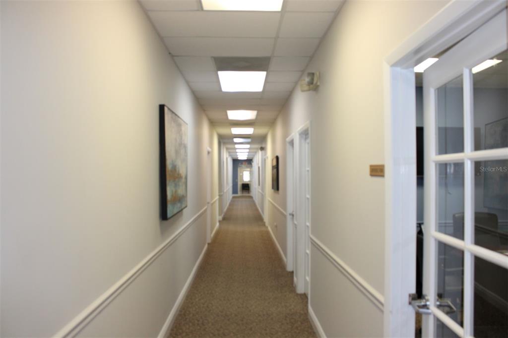 A long, narrow office hallway with beige walls, carpeted flooring, and recessed ceiling lights — 4175 WOODLANDS PARKWAY UNIT 26, PALM HARBOR, FL