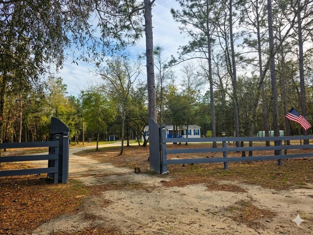 A gravel driveway leads through a gray wooden gate toward a house among pine trees — 10630 NE 80TH STREET, BRONSON, FL