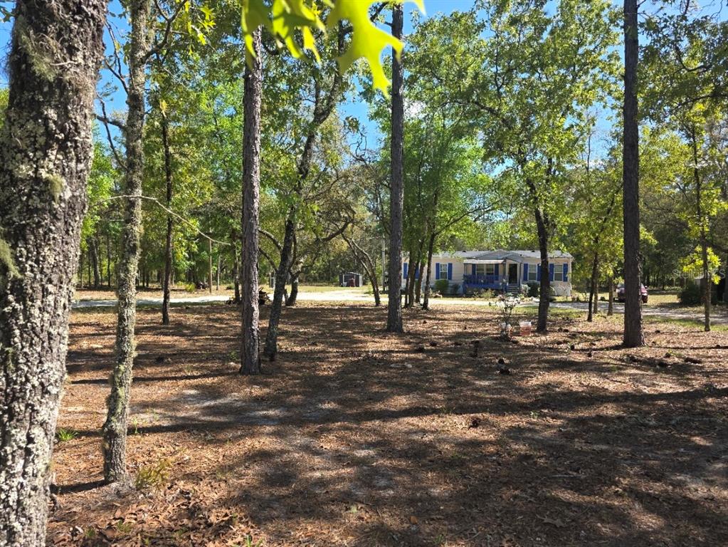 A single-story mobile home sits in a wooded lot with scattered pine needles — 10630 NE 80TH STREET, BRONSON, FL