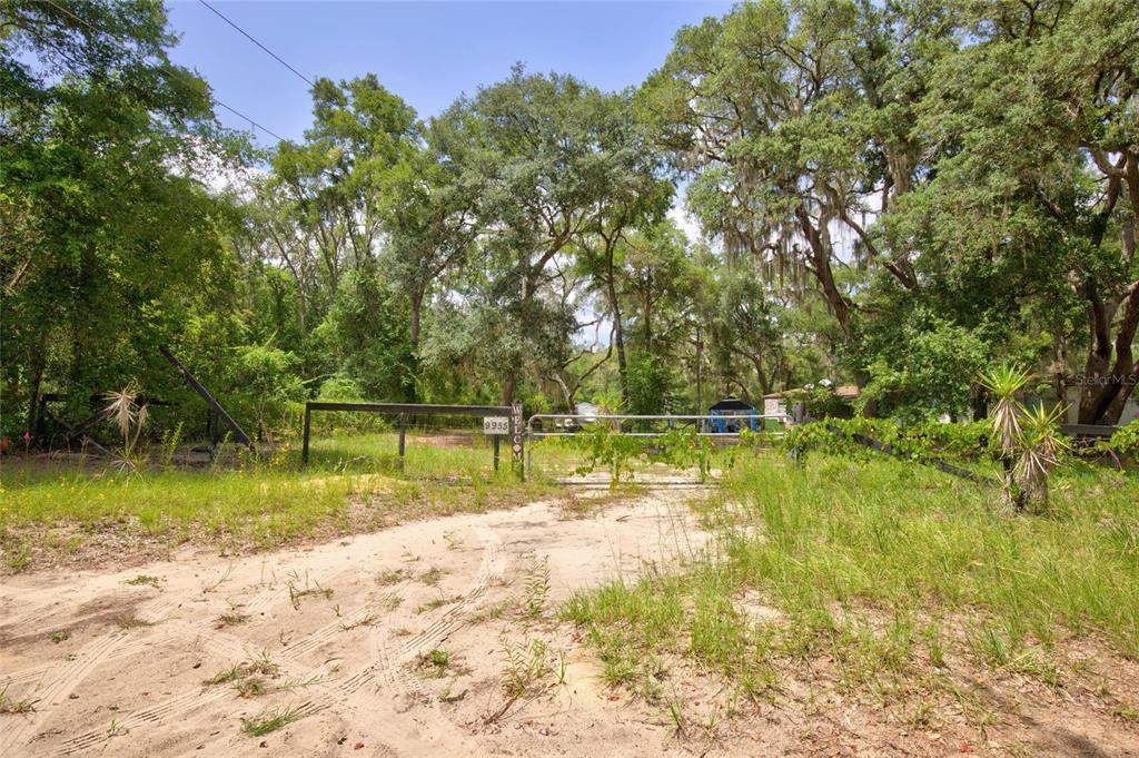A dirt driveway leads to a gated entrance surrounded by dense trees and vegetation — 9955 SE 160TH AVENUE, OCKLAWAHA, FL
