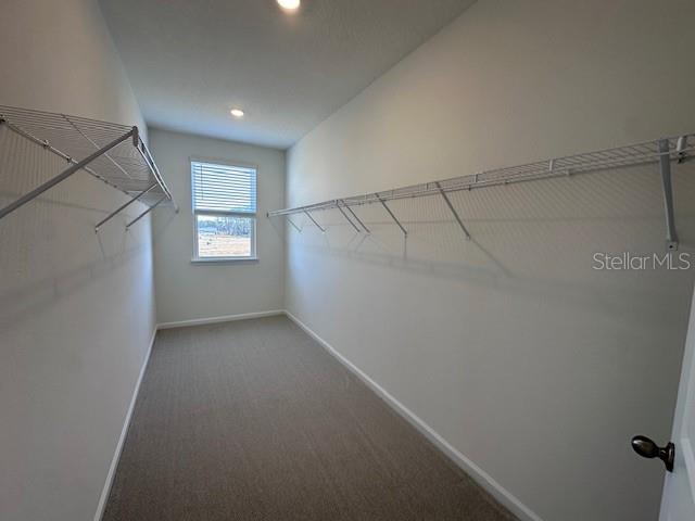 A walk-in closet with carpeted flooring, white walls, and wire shelving on both sides — 382 WOODS LANE, ST AUGUSTINE, FL