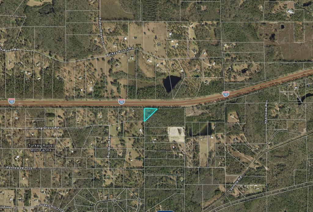 This is an aerial map showing a triangular parcel of land highlighted in blue — 13-19-20-218-0000 TUNG GROVE ROAD, TALLAHASSEE, FL