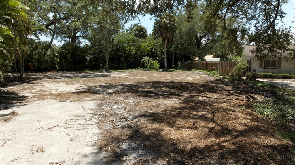 A large, cleared residential lot features scattered wood chips and mature trees — 2311 S LILA LANE, TAMPA, FL