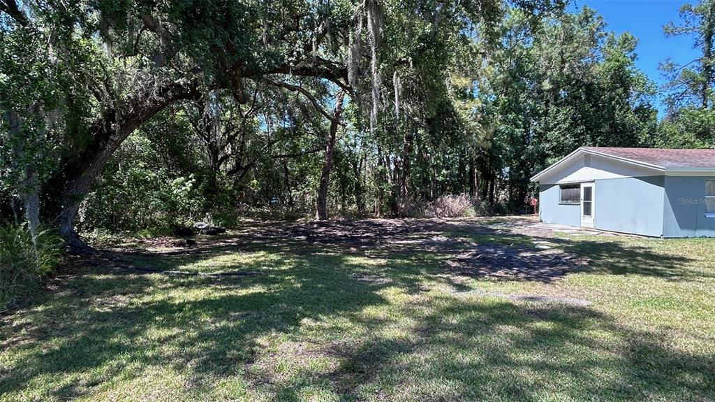A grassy yard sits beside a light blue house under a canopy of large trees — 4800 PETROFF AVENUE, ORLANDO, FL