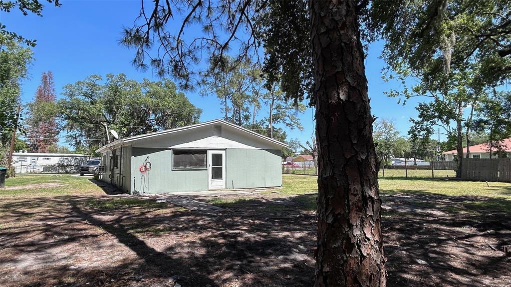 A light green, single-story house stands in a grassy yard with a large pine tree — 4800 PETROFF AVENUE, ORLANDO, FL
