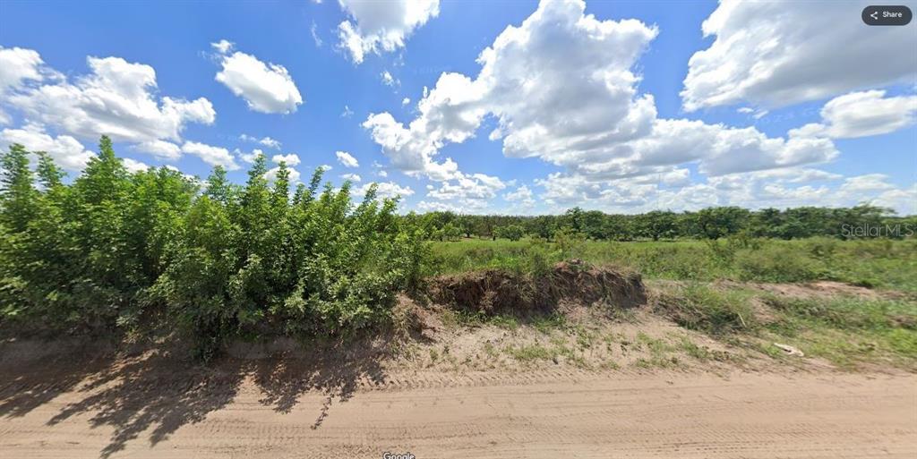 A dirt road runs alongside a grassy lot with a dense thicket and distant trees — HOLOPAW GROVES ROAD, ST CLOUD, FL