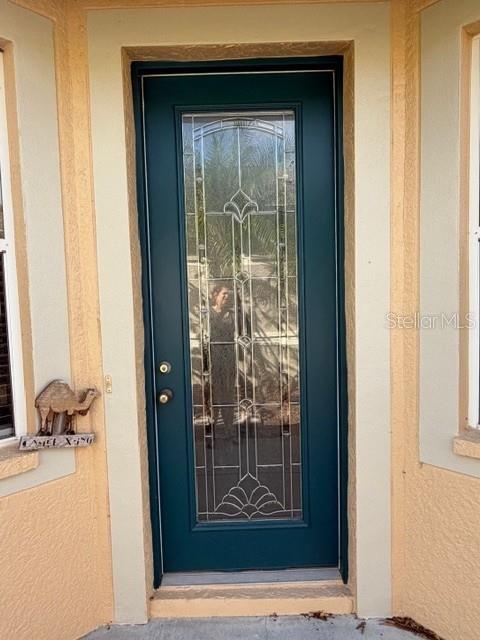A teal front door with a decorative glass insert sits in a light-colored stucco wall — 7536 BERNA LANE, LAND O LAKES, FL