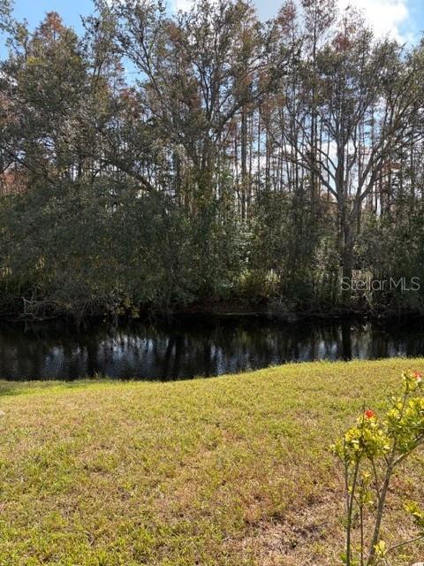 A grassy yard overlooks a dark pond bordered by a dense line of tall trees — 7536 BERNA LANE, LAND O LAKES, FL