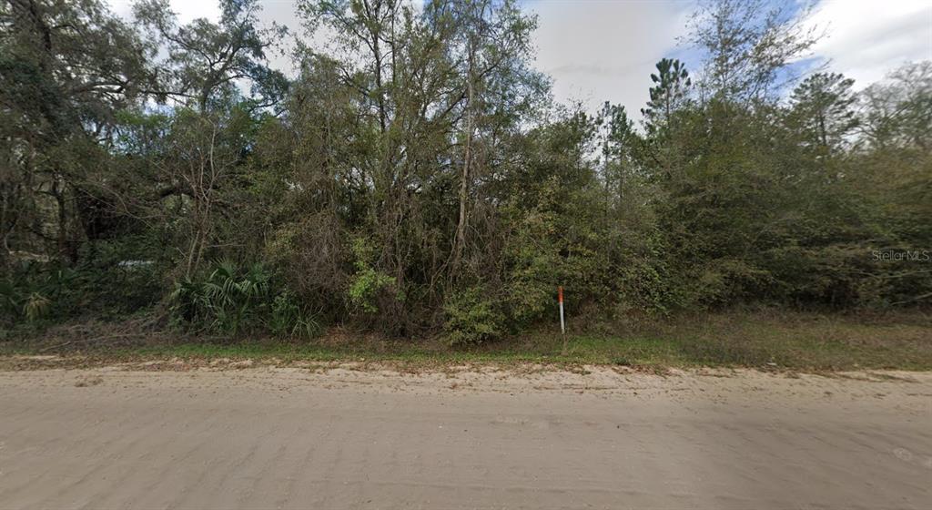 A dirt road runs in front of a densely wooded, undeveloped plot of land — 915 ANNETTE AVENUE, INTERLACHEN, FL