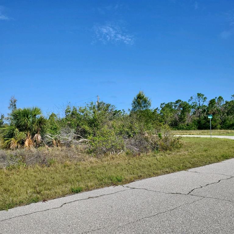 A vacant, overgrown corner lot with a paved road and a street sign — 16285 RENNIE ROAD, PORT CHARLOTTE, FL