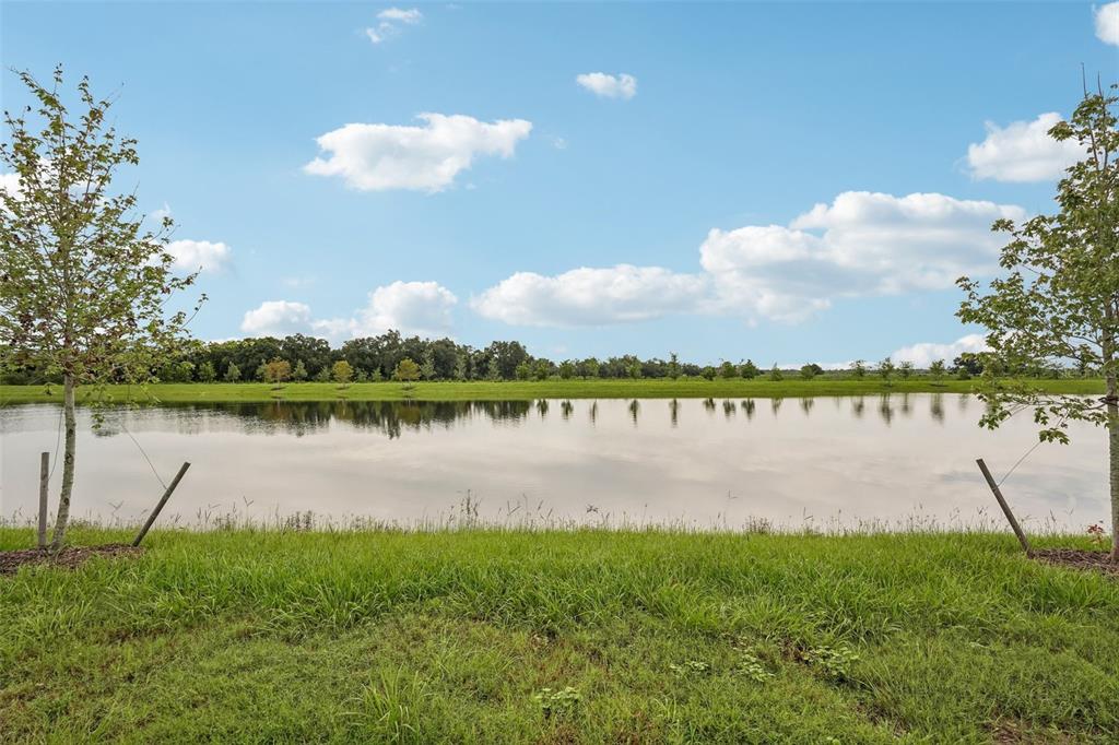 A calm pond sits in front of a grassy field under a blue, cloudy sky — 7660 SEAHAWK AVENUE, SARASOTA, FL