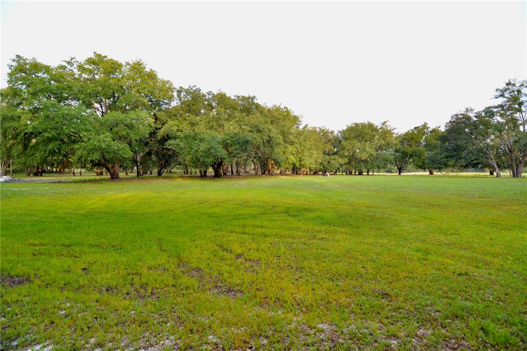 A large, grassy field is bordered by a dense line of mature trees — 2669 NW SUWANNEE VALLEY ROAD, LAKE CITY, FL