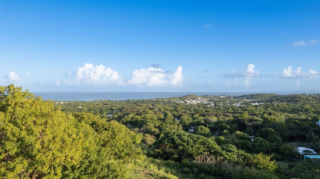 A high-angle view of a lush, green landscape extending toward the distant ocean — 993 CALLE 16, VIEQUES, PR