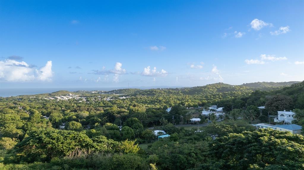 A high-angle view shows a lush, green landscape with scattered houses and the ocean beyond — 993 CALLE 16, VIEQUES, PR