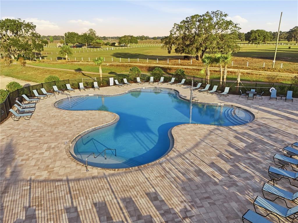 An aerial view of a freeform swimming pool surrounded by lounge chairs and a fence — 4207 HILLOCK BOULEVARD, HAINES CITY, FL