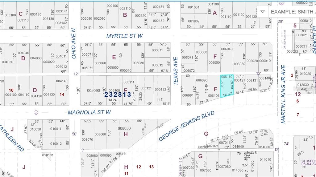 This image is a tax map showing property lot lines, parcel numbers, and street names — 515 W MAGNOLIA STREET, LAKELAND, FL