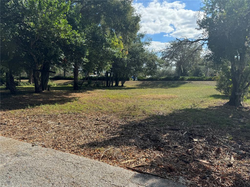 A vacant, grassy lot with scattered trees and a paved road in the foreground — 515 W MAGNOLIA STREET, LAKELAND, FL