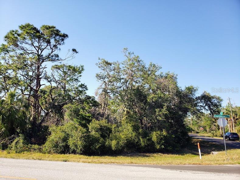 A wooded vacant lot sits at the corner of a paved road intersection — 15492 CHAMBERLAIN BOULEVARD, PORT CHARLOTTE, FL